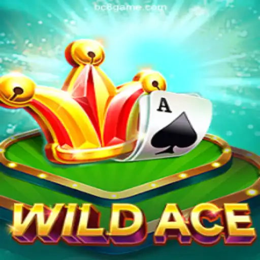 Exploring the Thrilling World of WildAce: An Online Casino Adventure